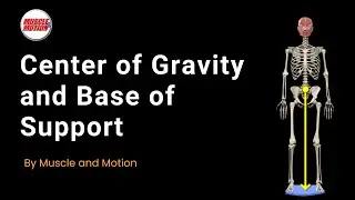 Mastering Balance: The Science of Center of Gravity and Base of Support