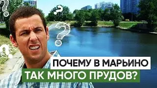 Регуляционные пруды в районе Марьино - почему их так много?