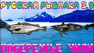 Русская рыбалка 3.9. Рыбальдо.   Ледяная рыба.