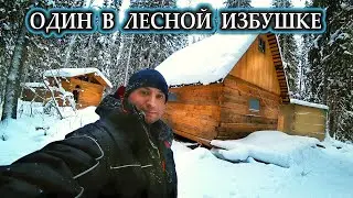 ОДИН В ТАЙГЕ \ В ЛЕСНУЮ ИЗБУ ПРИЕХАЛ, А ТАМ ГОСТИ ОСТАВИЛИ... \ ДОБЫЛ СЕБЕ ОБЕД В ЛЕСУ \ 