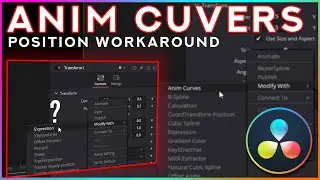 USING Anim Curves In DaVinci Resolve