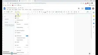 How do i add Horizontal line in Google doc