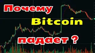 ПОЧЕМУ ПАДАЕТ БИТКОЙН? Владельцы Bitcoin потеряли все деньги, заработанные на заявлениях Илона Маска