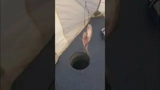 ДВА МОНСТРА В ОДИН РАЗ! 