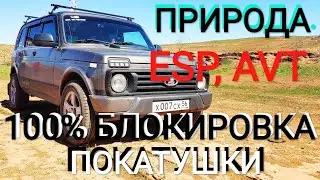 NATURE / RIDES / AVT / ESP /100% BLOCKING / SLIDES