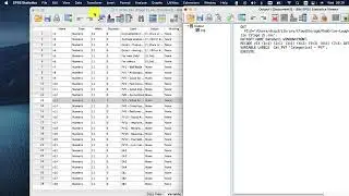 Converting Likert Data to Categorical Data | SPSS