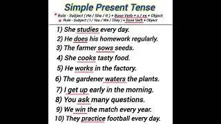 simple present tense examples