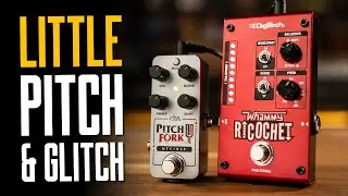 Digitech Whammy Ricochet & EHX Pico Pitchfork [Effector Du Jour]