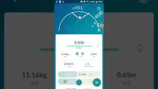 Pokémon Go Wingull 長翅鷗 キャモメ