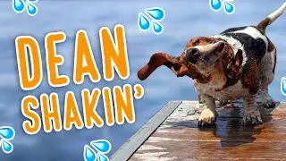 4 seasons of shakin'!