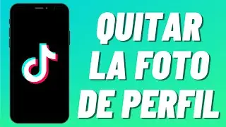 Cómo Quitar la Foto de Perfil en TikTok