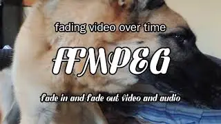 using ffmpeg to fade a video or audio in or out