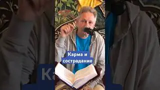 Карма и сострадание #ВасилийТушкин #ВраджендраКумар #VrajendraRu #shorts #веды #знание #Бог #душа