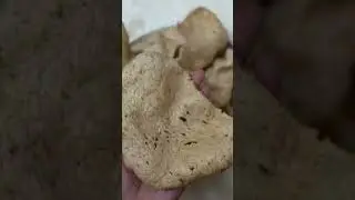 Best musim musim hujan ni makan keropok 😍 link d profile