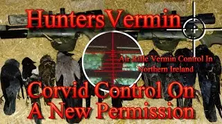 Air Rifle Hunting Corvid Control On A New Permission