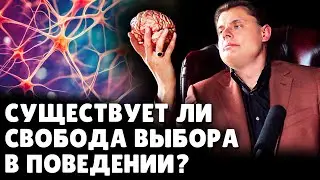 Cуществует ли свобода выбора в человеческом поведении? | Ученый Е. Понасенков. 18+