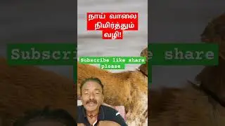 திருத்த முடியாத விஷயங்கள்! 