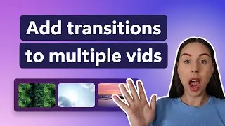 How to add a transition to multiple videos at once