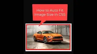 How to Auto Fit Image Size in CSS #css #shorts