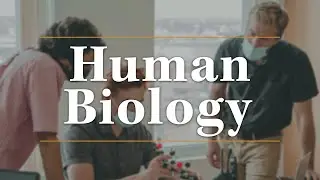 Meet Your Major: Human Biology