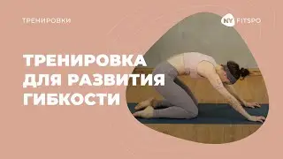 Тренировка на развитие гибкости в теле | Школа здорового фитнеса Newyorkfitspo