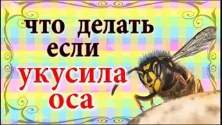 Что делать если укусила оса