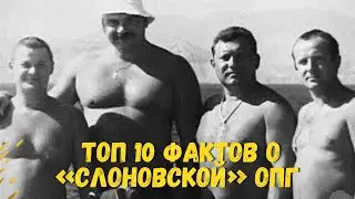 Хозяйничали в криминальной Рязани. ТОП 10 фактов о «Слоновской» ОПГ