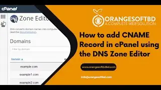 How to add CNAME Record in cPanel using the DNS Zone Editor with Orange Soft BD