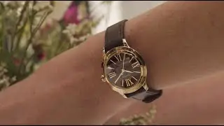 Citizen L Fall Collection