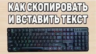 Как скопировать и вставить текст на компьютере