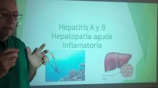 Enzimas hepaticas . Hepatopatias del higado. Virus ARN y DNA