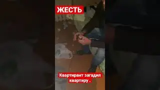 🔥🔥🔥ЖЕСТЬ🔥🔥🔥Квартирант загадил квартиру @realtor_102