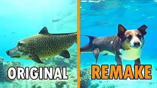 Dogfish Meme Original vs Remake | The Dogfish Is Real