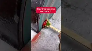 How Strawberries are made 🍓