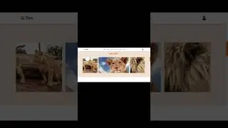 Responsive Zoo/Animal Website Design Using HTML - CSS - JAVASCRIPT | #shorts