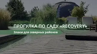 Прогулка по саду  