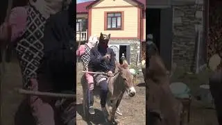 Taxi Highlanders