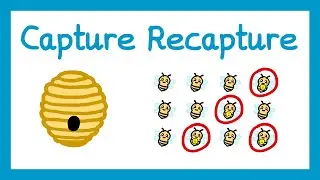 Capture Recapture - GCSE Higher Maths