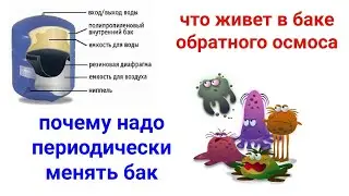 Что внутри бака обратного осмоса. Почему надо периодически менять бак. Распил Арагон 3.