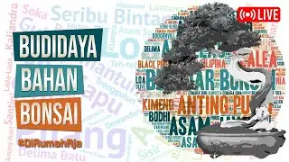 🔴 [LIVE] Budidaya Bahan Bonsai