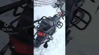 красота альфы 