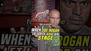 Joe Rogan has the BEST Dog😂| w/ Joey Diaz