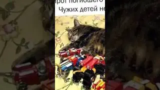 Мемы и мемы #приколы #мем #мемы #лютыеприколы