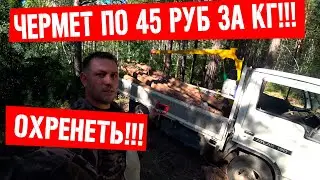 ТРИ СИГНАЛА И РАЗБОГАТЕЛ!!! ЧЕРМЕТ ПО 45 РУБ ЗА КГ!