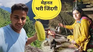 पहाड़ों की मेहनत भरी जिंदगी | Uttarakhandi villagers lifestyle video | pahadi life | RTK Vlogs