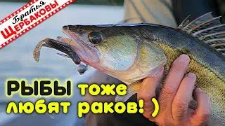 НА силиконовых РАКОВ с лодки. ОСОБЕННОСТЬ, подбор ЦВЕТА приманки, где и КАК ЛОВИТЬ?