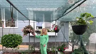 Удобные шпалеры для огорода