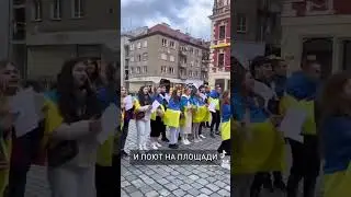 Украинские беженцы в Польше, поляки устали 🤔