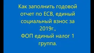 Как заполнить годовой отчет по ЕСВ, единый социальный взнос за 2019г., ФОП единый налог (1 группа).