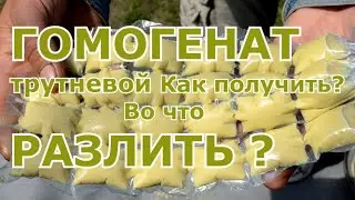 Гомогенат трутневой. Как получить? Во что разлить?